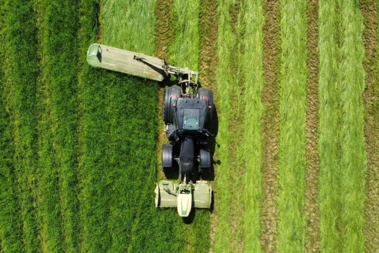 Duurzaam groenbeheer om biodiversiteit op bedrijfsterrein te stimuleren